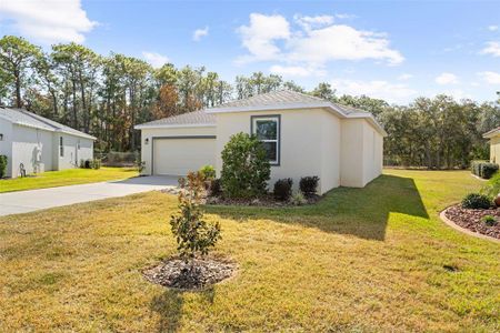 New construction Single-Family house 9316 Gentle Ben Ct, Weeki Wachee, FL 34613 - image