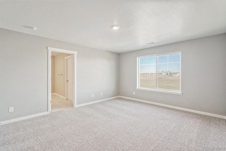 New construction Single-Family house 18029 Dandy Brush Ln, Parker, CO 80134 ELDER II- photo 20 20