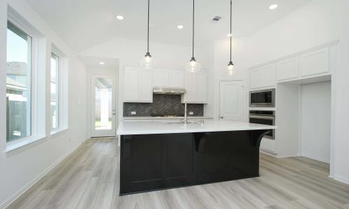 New construction Single-Family house 236 Tailwind Dr, Kyle, TX 78640 null- photo 11 11