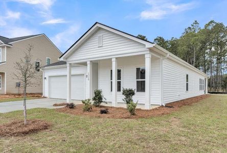 New construction Single-Family house 2066 Lavender Bloom Rd, Ravenel, SC 29470 plan Madison - image