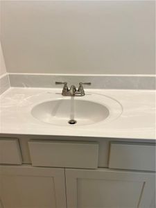 New construction Single-Family house 18 Primrose Dr, Dallas, GA 30132 plan Orchard - image 9