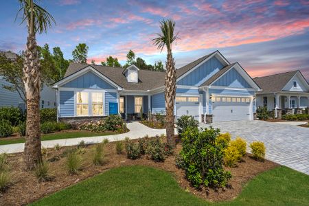 New construction Single-Family house 2337 Bay Strip Dr, Charleston, SC 29492 plan Stellar - image