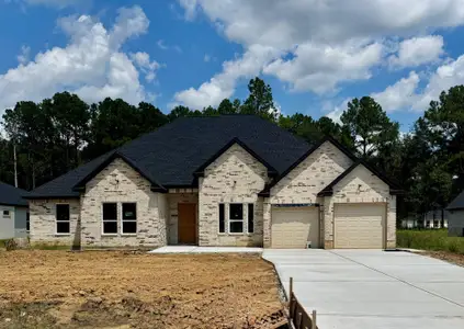New construction Single-Family house 3039 Rd 66124, Dayton, TX 77535 - image