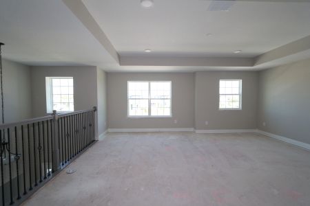 New construction Single-Family house 5707 Maydale Ave, Wesley Chapel, FL 33545 Sonoma II- photo 145 145