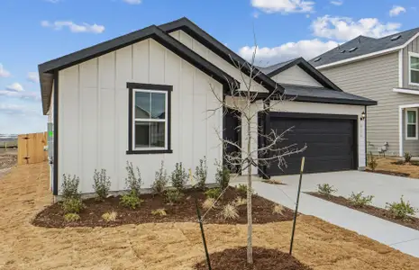 New construction Single-Family house 816 Cardenas St, San Marcos, TX 78666 plan Serenada - image