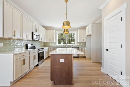 New construction Single-Family house 11577 Valley Oaks Ln, Unit 30, Stanfield, NC 28163 - image 12