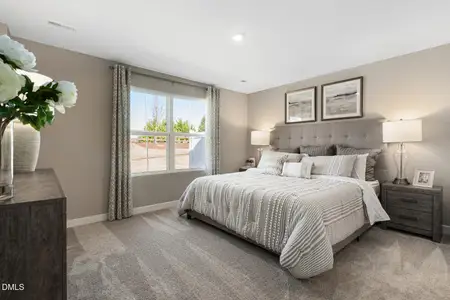 New construction Townhouse house 1005 Knickerbocker Ln, Youngsville, NC 27596 plan Nassau Cove - image 5