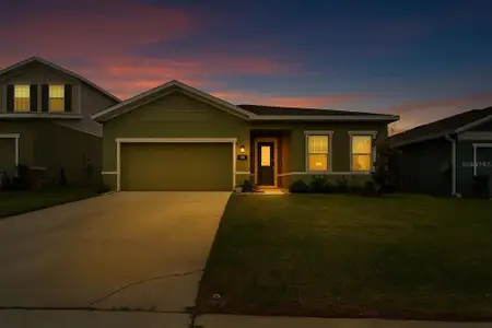 New construction Single-Family house 8119 Greenway Ave, Wesley Chapel, FL 33544 - image