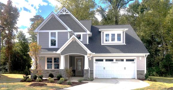 New construction Single-Family house 3113 Petrea Court, Unit 38, Angier, NC 27501 Whitley- photo 33 33