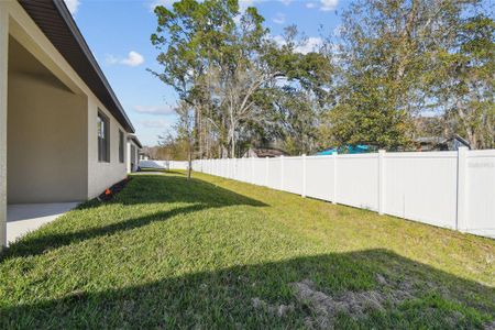 New construction Single-Family house 11512 Weaver Hollow Rd, New Port Richey, FL 34654 null- photo 46 46