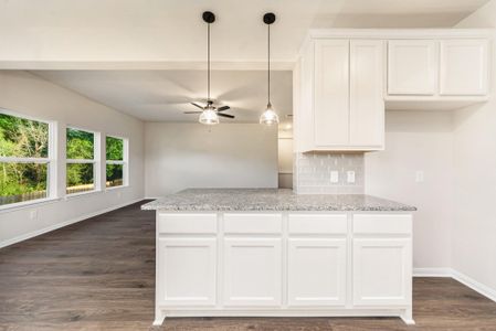 New construction Single-Family house 233 Crestview Dr, West Columbia, TX 77486 plan Stonewall - image