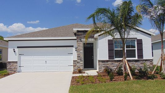 New construction Single-Family house 3182 Canopy Oak Boulevard, Wildwood, FL 34785 - photo 0