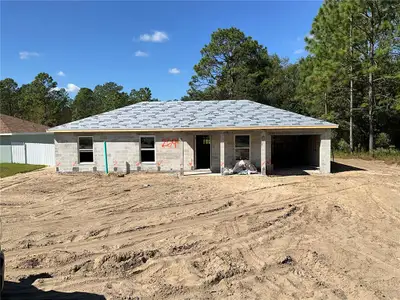 New construction Single-Family house 2694 Nw 151St Ave, Ocala, FL 34481 - image