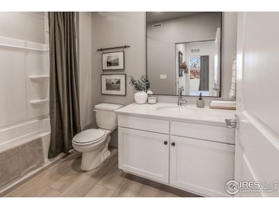 New construction Single-Family house 913 Trumpet Ln, Windsor, CO 80550 - image 17