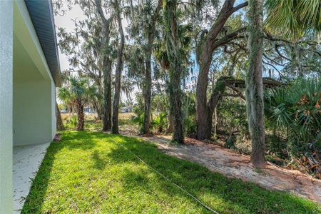 New construction Single-Family house 620 Titcomb St, Eustis, FL 32726 null- photo 23 23