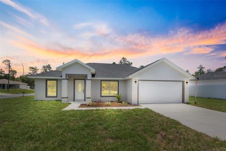 New construction Single-Family house 11384 Sw 177Th Ct, Dunnellon, FL 34432 - image
