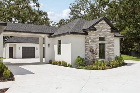 New construction Single-Family house 3317 Chase Jackson Br, Lutz, FL 33559 - image