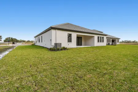 New construction Single-Family house 12505 White Blossom Ct, Parrish, FL 34219 plan Sapphire - image 4