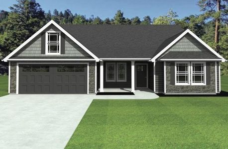 New construction Single-Family house 567 Adventure Isla Wy, Campobello, SC 29322 - image