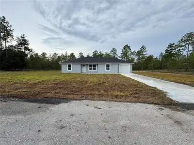 New construction Single-Family house 452 Nw Crocus Ln, Dunnellon, FL 34431 - image