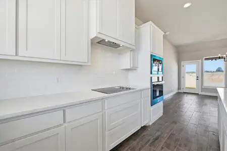 New construction Single-Family house 105 Cattleman Dr, Springtown, TX 76082 - image 6