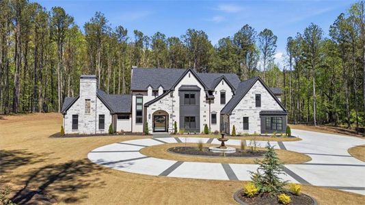 New construction Single-Family house 1315 Sandy Creek Rd, Tyrone, GA 30290 - image