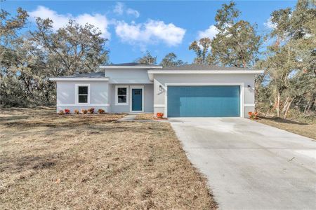 New construction Single-Family house 14390 Sw 44Th Avenue, Ocala, FL 34473 - photo 0