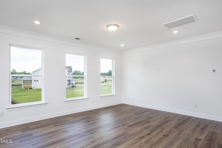 New construction Single-Family house 216 Country Haven Ct, Angier, NC 27501 plan Cooper - image 14