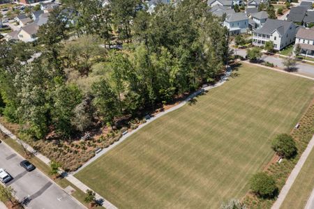 New construction Single-Family house 1107 Bellwether Ln, Summerville, SC 29485 Camellia- photo 44 44