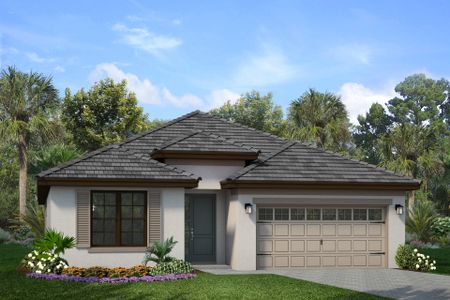 New construction Single-Family house 2718 Wise River Ln, Zephyrhills, FL 33541 plan Hampton II - image