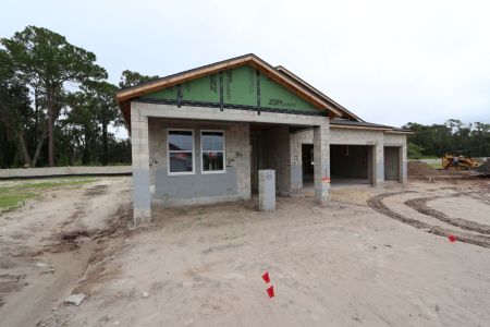 New construction Single-Family house 20243 Oriana Loop, Land O' Lakes, FL 34638 Corina  III Bonus- photo 37 37