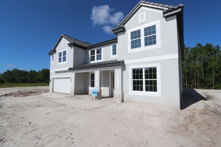 New construction Single-Family house 2057 Drummond Pt, Zephyrhills, FL 33541 Grandsail  III- photo 4 4