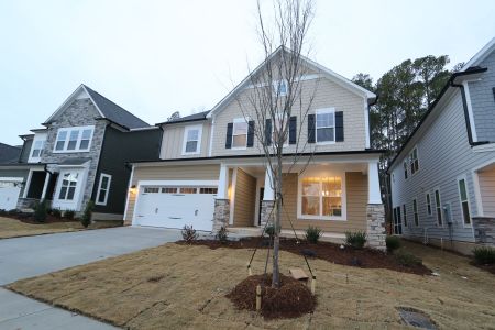 New construction Single-Family house 2416 Picual Wy, New Hill, NC 27562 plan Beech - image