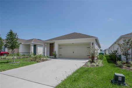 New construction Single-Family house Umatilla, FL 32784 - image