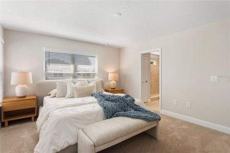 New construction Single-Family house 3024 W Cass St, Tampa, FL 33609 - image 13