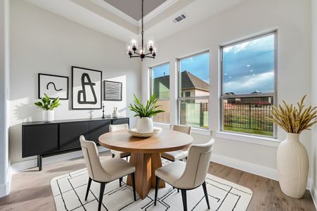 New construction Single-Family house 1901 Cascada Wy, Little Elm, TX 75068 plan Arabella - image 6