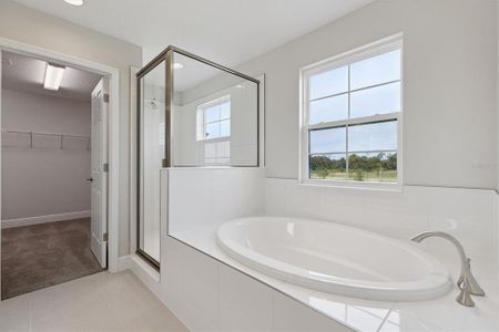 New construction Single-Family house 8517 Dove Bog Ter, Parrish, FL 34219 plan Kingfisher - image 10