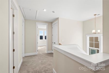 New construction Single-Family house 113 Macland Ln, Unit 538, Rock Hill, SC 29730 - image 14