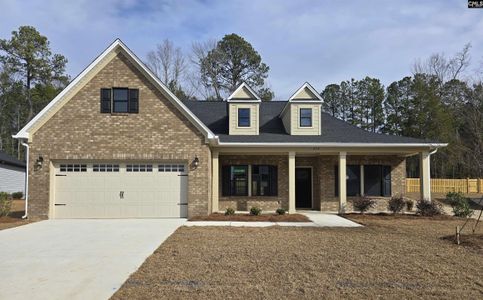 New construction Single-Family house 319 Murray Falls Ln, Chapin, SC 29036 - image