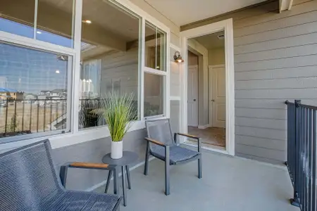 New construction Multi-Family house 6809 Maple Leaf Dr, Unit 202, Timnath, CO 80547 plan Monarch - image 3