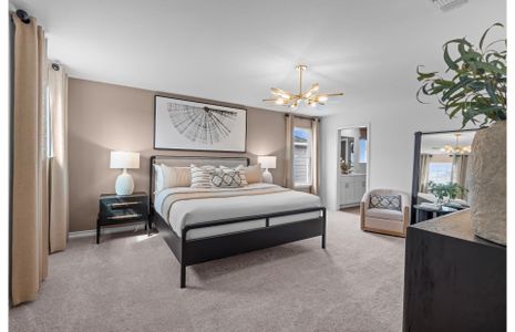 New construction Single-Family house 10219 Cactus Hls, San Antonio, TX 78254 plan Mesilla - image 17