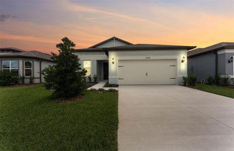 New construction Single-Family house 4018 Big Sky Dr, Spring Hill, FL 34604 plan Medina - image