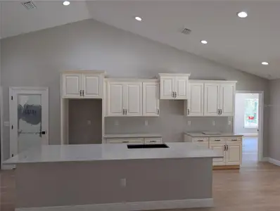 New construction Single-Family house 12504 Sw 78Th Pl, Dunnellon, FL 34432 - image