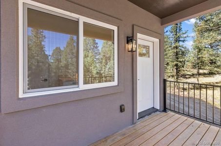 New construction Single-Family house 270 Southpark Rd, Florissant, CO 80816 - image