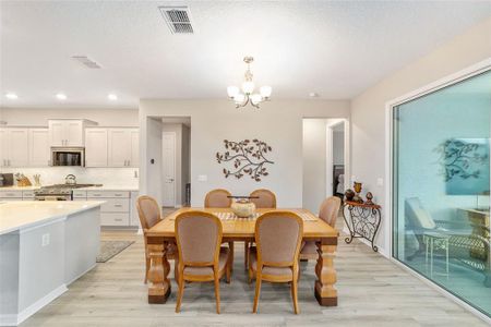 New construction Single-Family house 10691 Sw 99Th Pl, Ocala, FL 34481 - image 19