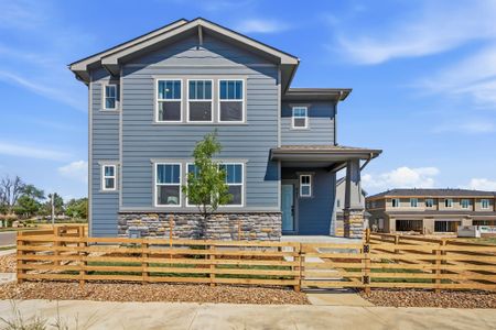 New construction Single-Family house 997 Nettle Ln, Fort Collins, CO 80524 plan Broadmoor - image