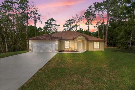 New construction Single-Family house 19939 Sw 96Th Pl, Dunnellon, FL 34432 - image