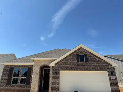 New construction Single-Family house 1228 Colca Dr, Springtown, TX 76082 - image