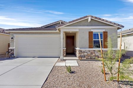 New construction Single-Family house 10112 S Arnold Ranch Ct, Vail, AZ 85641 plan Ginger - image