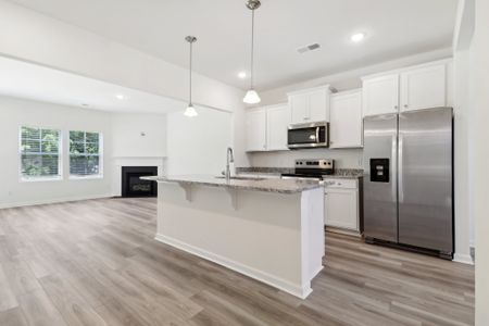 New construction Single-Family house 3047 Tanbark Oak Ln, Aiken, SC 29801 plan Buck Island II - image 14